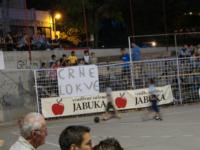 slika 15