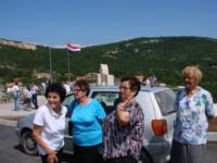 slika 1